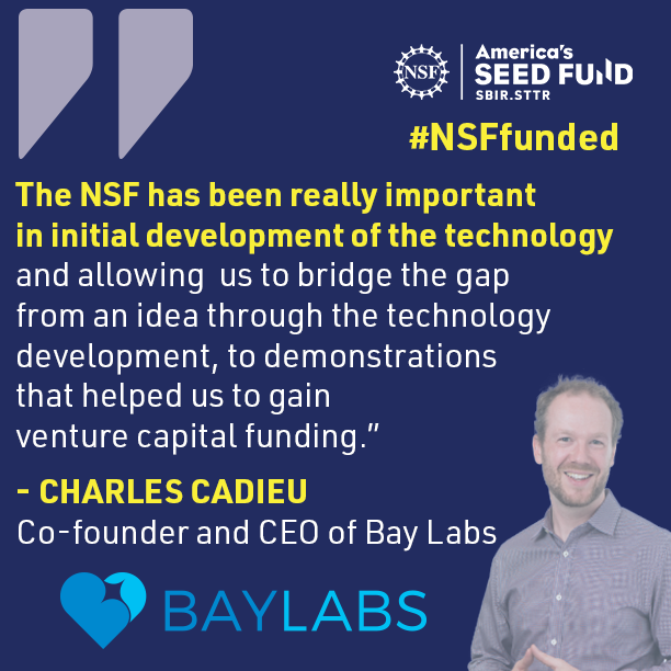 Bay Labs Quote